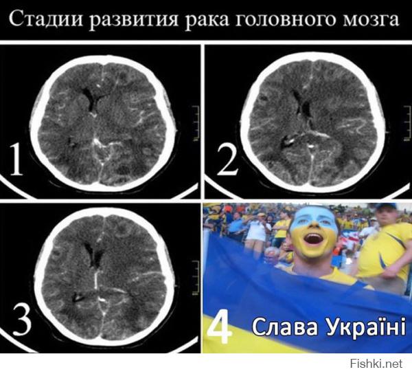 Не люблю лживых тварей даже если они вежливые и образованные, хотя последнее не про тебя!