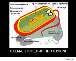 Демотиваторы про Укро-ину 4