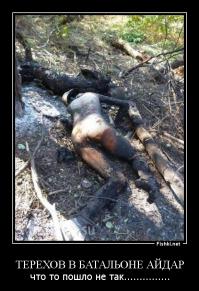 Интересно, не введут ли новые санкции за это