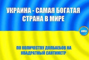 Ну и пень же ты...