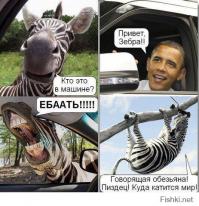 Ниггер облажался