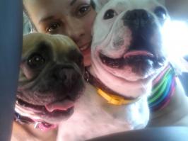 Животные, которые научат нас быть счастливыми