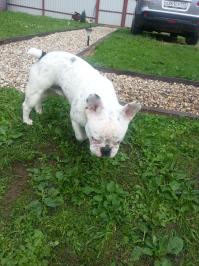 Уникальный окрас