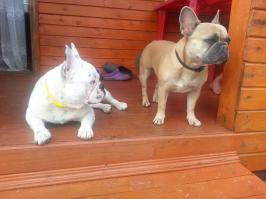 Уникальный окрас