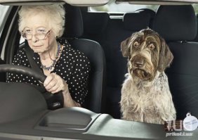 Он о чем-то догадывается!