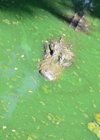 Минимализм в фото