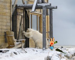 Винни, это неправильные пчелы!