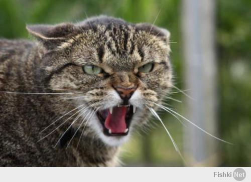 Подборка видео от 22.04.2014