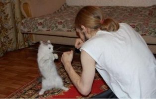 16 фраз, которые мы говорим своему коту