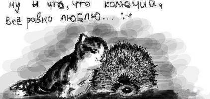 Фишкина солянка за 26.05.2014 