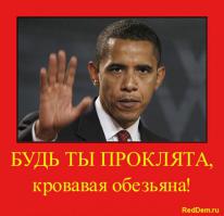Научили на свою голову(((