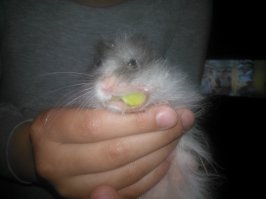 Добавлю своего