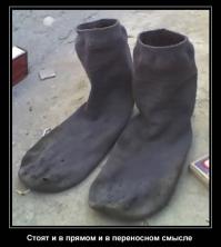 В буквальном смысле слова