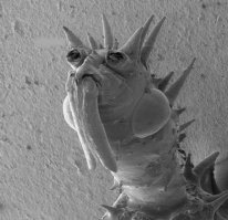 Мля, это-ж я с утра в субботу глаза продираю