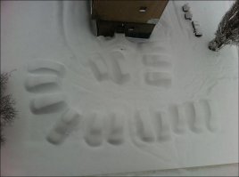 Тебя же предупреждали: пометь автомобиль!!!