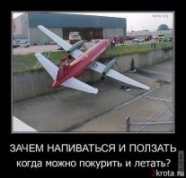 Комар заправился кровью до отказа!