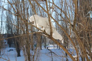 За моим балконом.