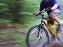 Блииииин, круто-то как! А вот знаете что, не вертолёт захотелось так погонять. Ассоциация возникла другая. Обычно в тёплое время по таким вот дорожкам в лесах Ленобласти обожаю гонять. Желательно с близкими к показанным скоростям, чтобы от близкорасположенной листвы и веток на большой скорости появлялось в глазах такое же размытие. Падать, конечно будет больнее, чем вертолёту Но ощущения не хуже. Тут, правда есть минус у двохколёсного брата: 3D эффект со взмытием вверх на велике не сотворить. А ролик класс! Пойду готовить технику к сезону, ибо уже не за горами.