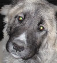 Однозначно.....