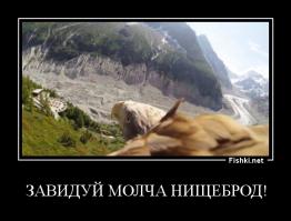 Земля с высоты птичьего полёта