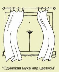 Показалось 