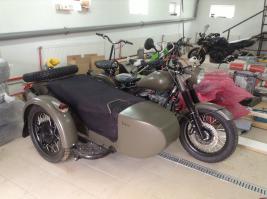 Вот мой красавец:)