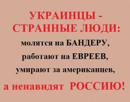 Просто прикольные картинки