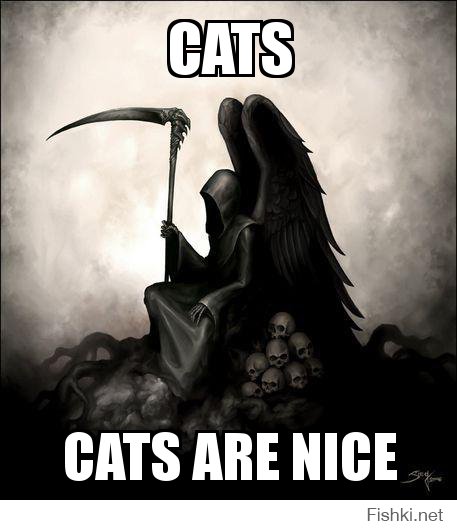 Котяшки, котяшки
