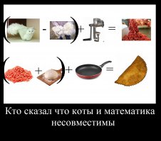 На самом деле, коты ученые, по мнению производителей чебуреков.