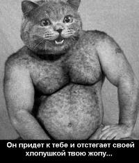Кошка реагирует попой=)