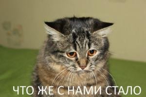Мимишность зашкаливает