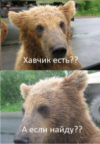  Встреча на трассе