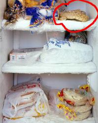 Это реальная замороженная змея? Их там едят??