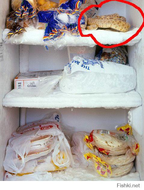 Это реальная замороженная змея? Их там едят??