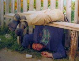 самое сильное животное это Петрович!
может выпить в 10 раз больше своего веса!