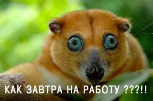 Фишкина солянка за 20.09.2014