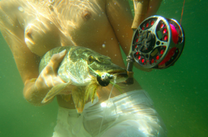  Неплохой улов