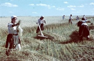 Им бы Ваши проблемы.
