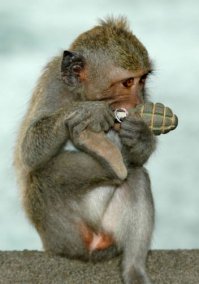 Оригинальный выезд с парковки