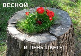 Рыженькая хорошенькая. Почти влюбился, как молодой. Весна.