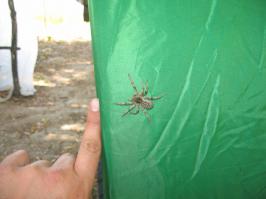 Это в Астрахани.