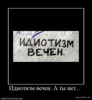 Не пытайтесь это повторить 