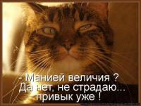 Почему я являюсь самым эффективным психологом