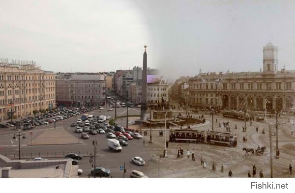 Санкт-Петербург глазами птиц 