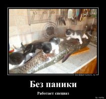 Засада на рыбалке