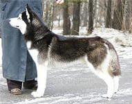 Вот в профиль