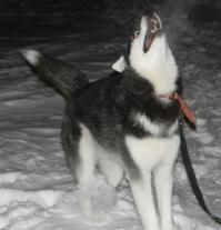 Зимой