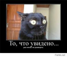 Фрики или уроды?