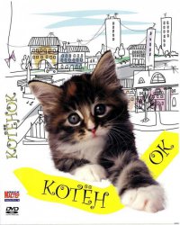 "Котенок" не совсем про семью, но семья там показана положительно.
"Пока ты спал" - тоже показана крепкая семья.