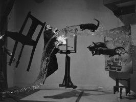 Добавлю. Это действительно фото.